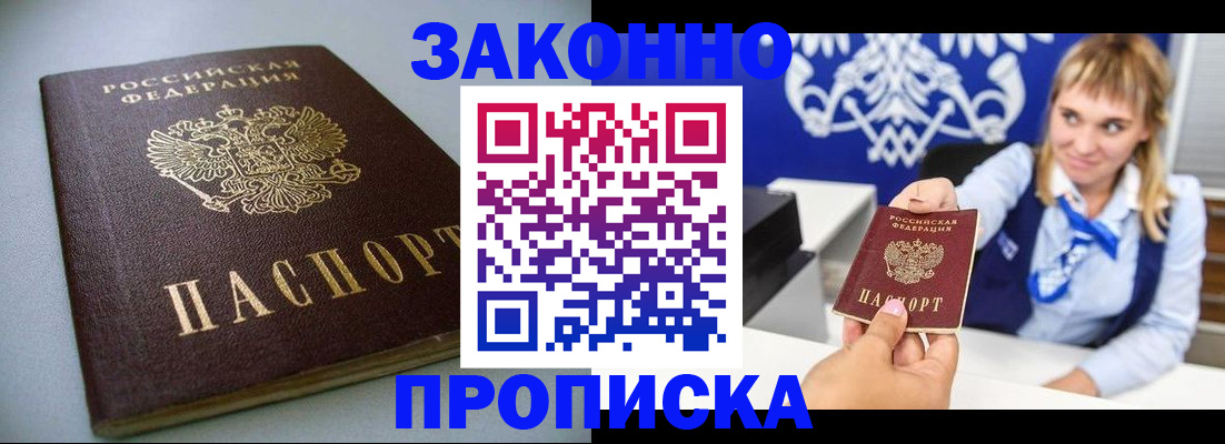 прописка поиск в Шадринске